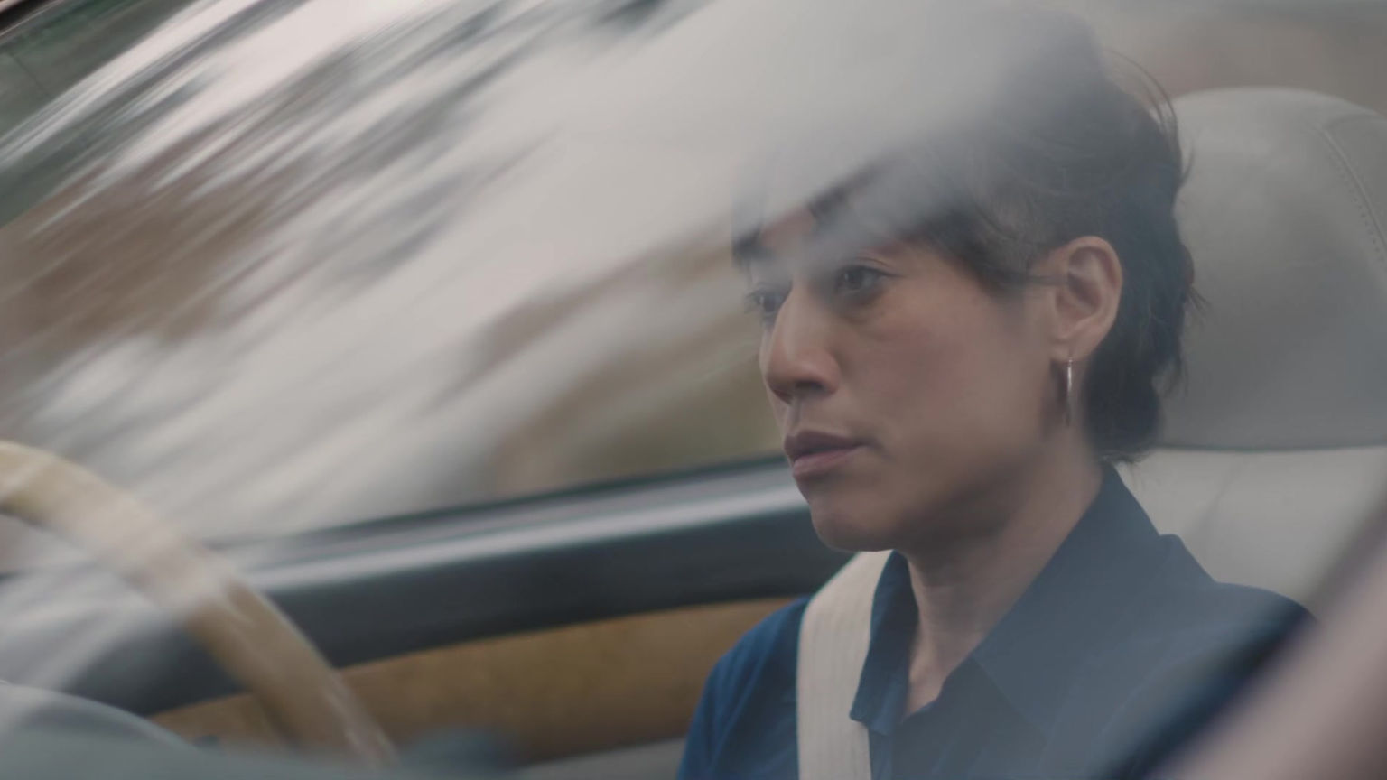 Dusk Chorus - Teaser